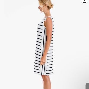 Max Studio Shift dress